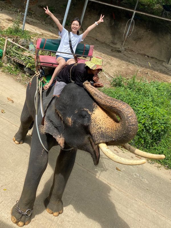 タイ・プーケット「タイ🇹🇭プーケットの旅」の写真：タイならではの体験‼️
動物に触れ合って...