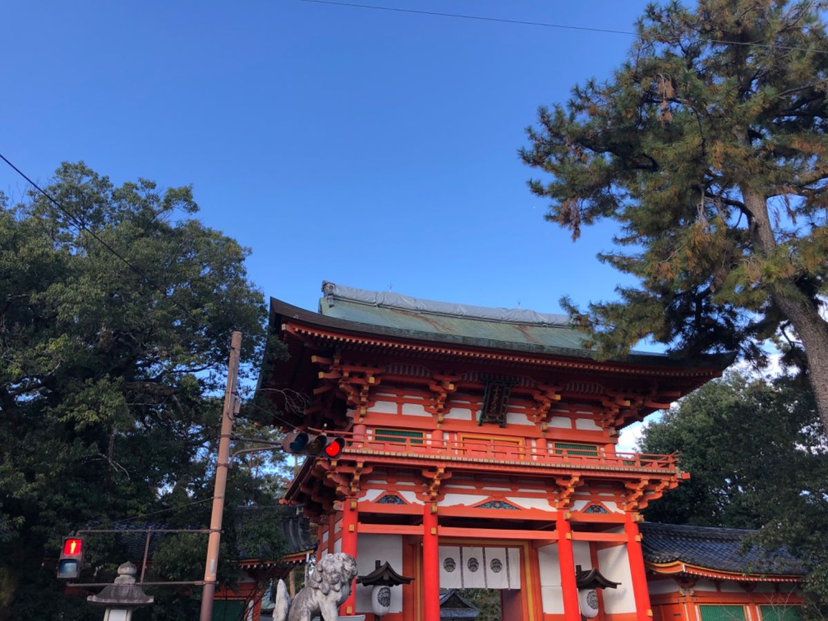 今宮神社。紅葉の名所ではないけれど、一本の紅葉が真っ赤に色付いていました。...