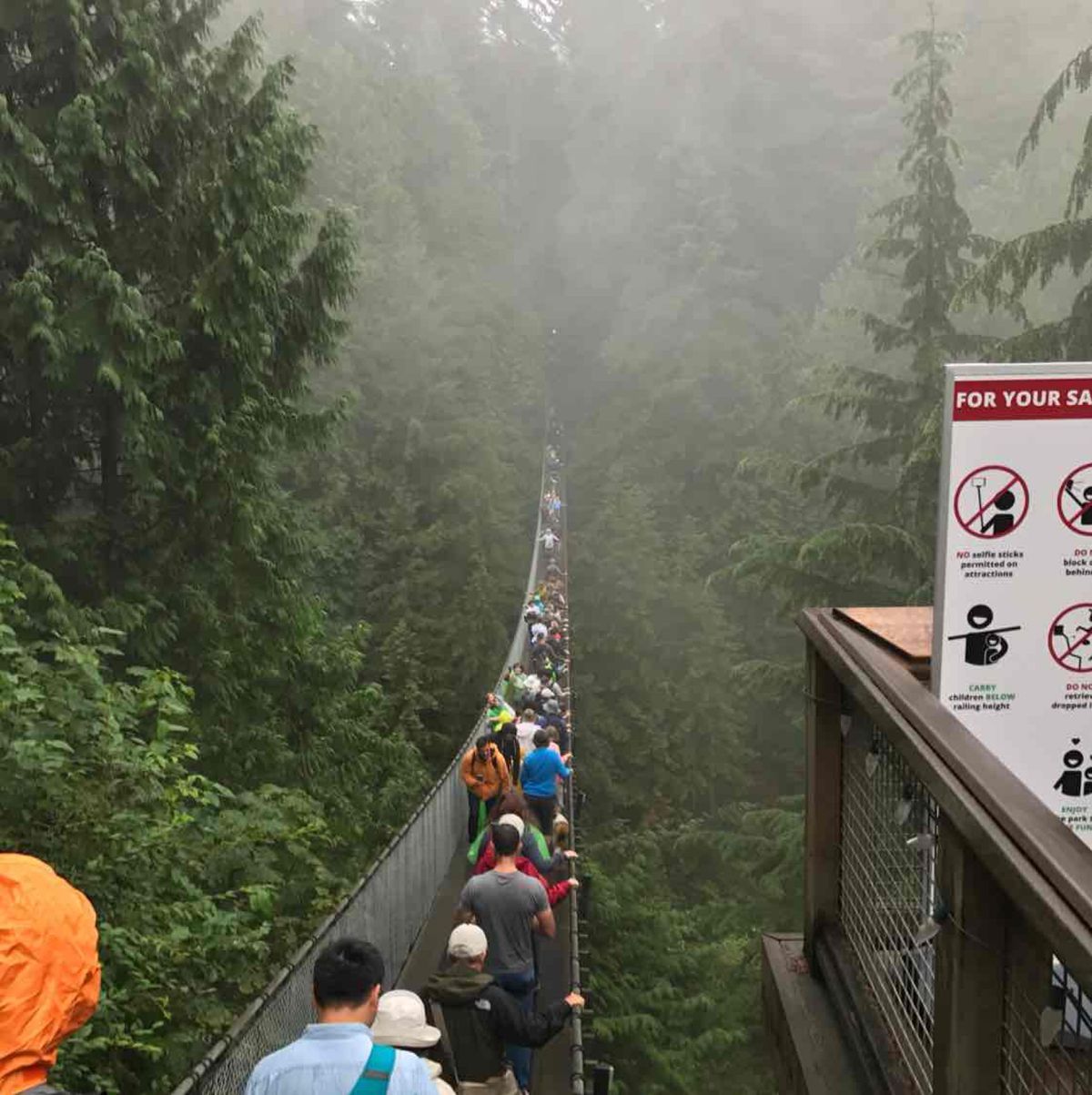 丸太が椅子代わりに。
キャピラノ吊り橋と、毎日通ったティムホートン♬