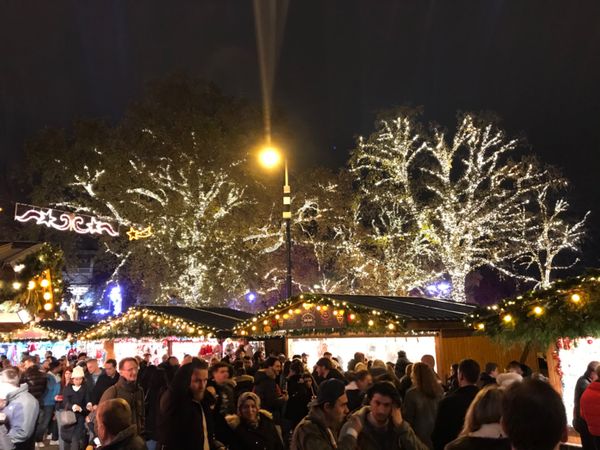 オーストリア・ザルツブルグ、ウィーン「オーストリア」の写真：ウィーンのクリスマスマーケットはこの市庁舎前