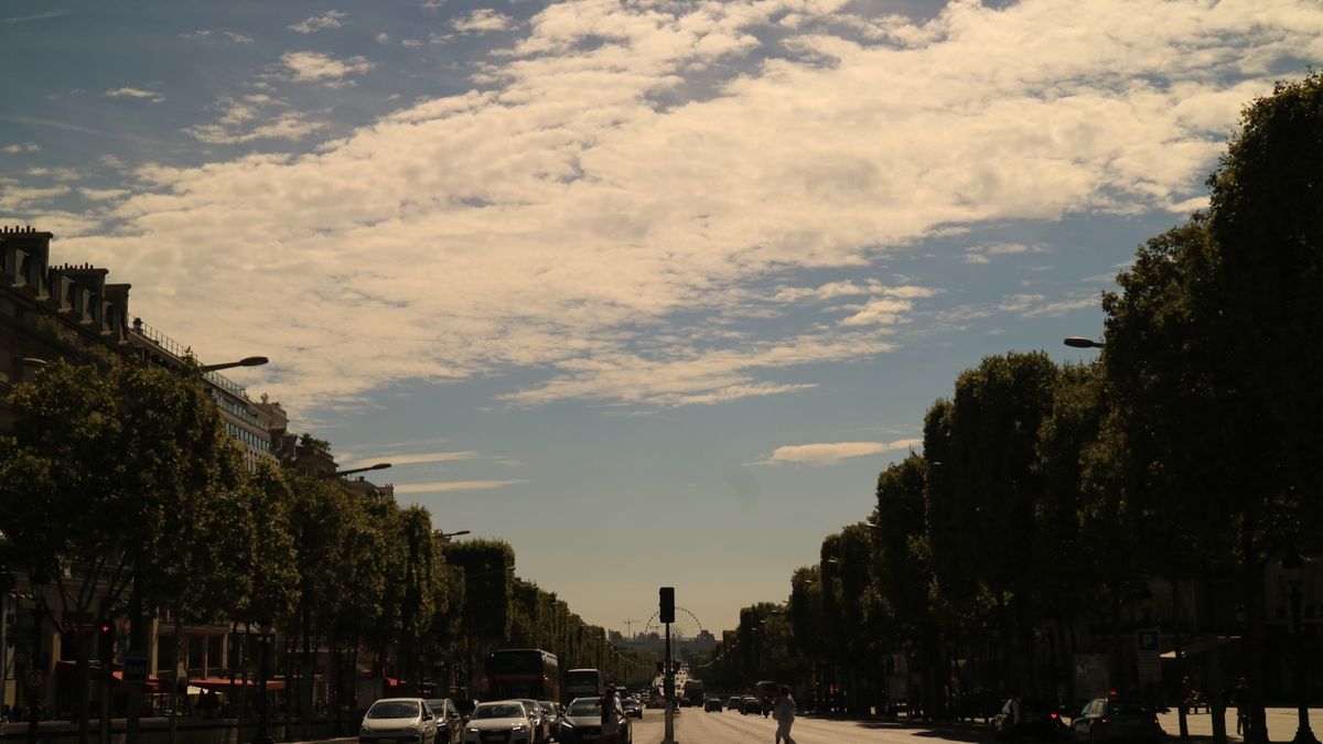 フィレンツェに行く際に8時間だけトランジットで滞在。機会があればゆっくり回...