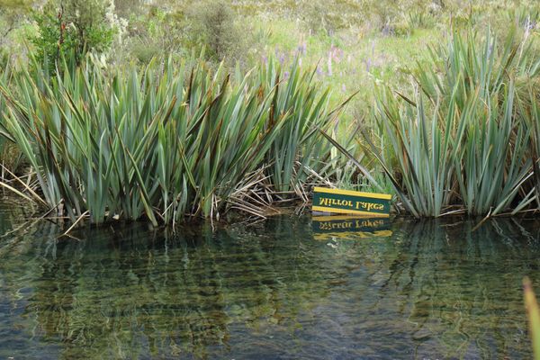ニュージーランド・オークランド、クイーンズタウン、ハーヘイ「ニュージーランド🇳🇿年越し旅行」の写真：ミルフォードサウンドへの道中。ミラーレー...