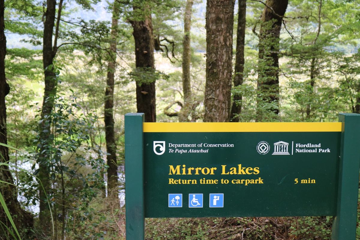 ミルフォードサウンドへの道中。ミラーレークは風があったので綺麗に水面に映ら...