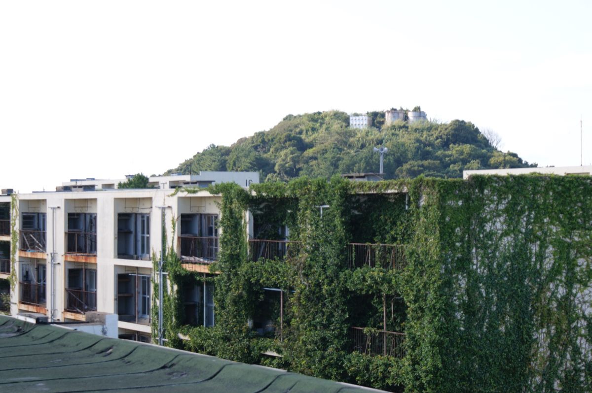 池島うろうろ。まだ人がいる地域から外れるとあっという間に自然の中に街が埋も...