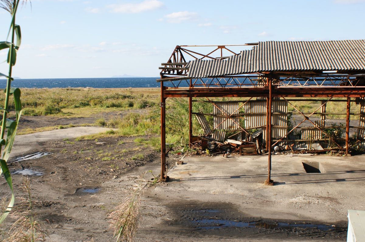 池島うろうろ。まだ人がいる地域から外れるとあっという間に自然の中に街が埋も...