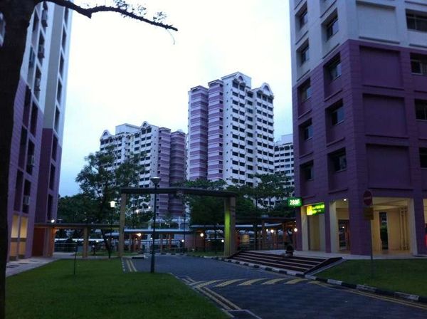 シンガポール・シンガポール「2011年 シンガポール　滞在中のありふれた写真」の写真：Blk 289F Bukit Batok 