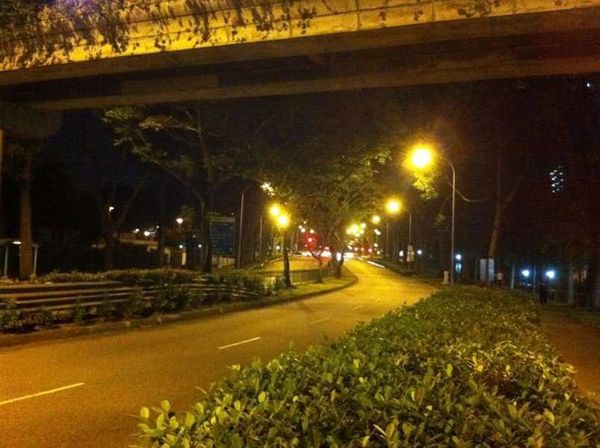 シンガポール・シンガポール「2011年 シンガポール　滞在中のありふれた写真」の写真