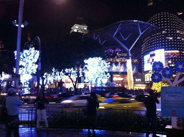 シンガポール・シンガポール「2011年 シンガポール　滞在中のありふれた写真」の写真：オーチャードのクリスマスネオン