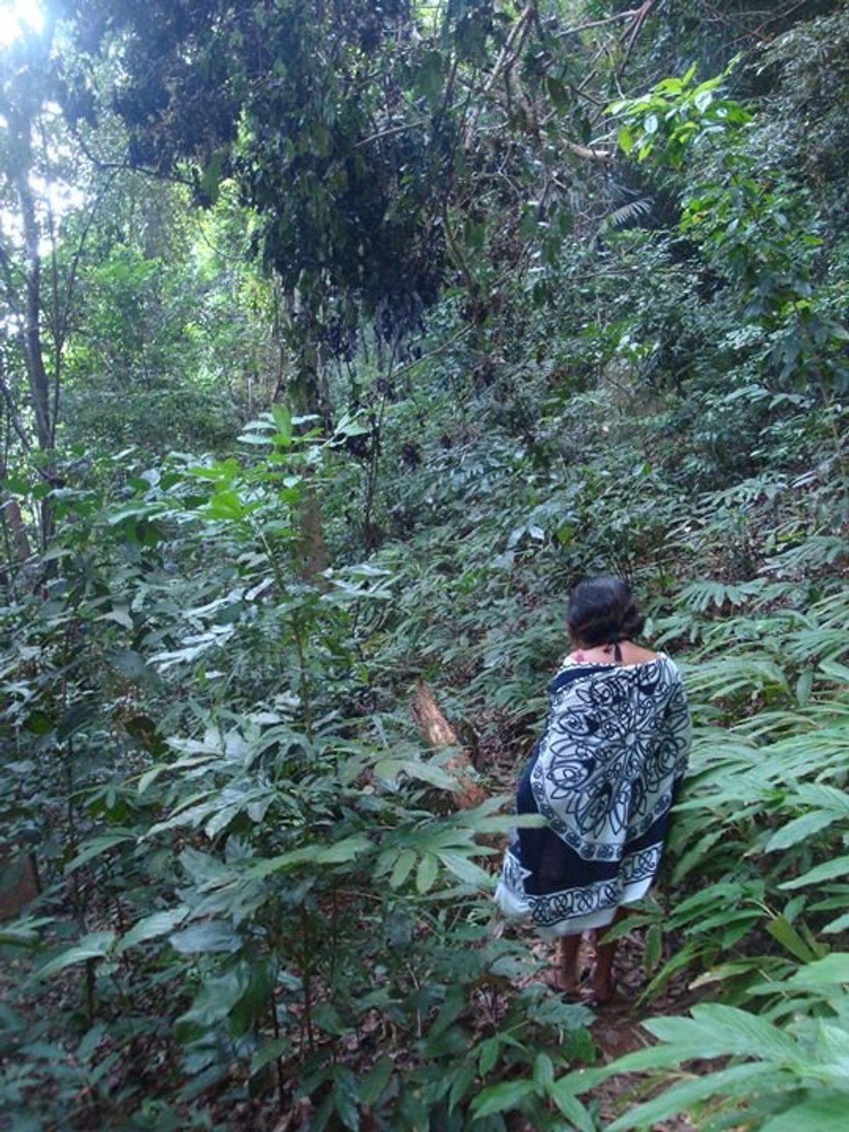 ティオマン（Tioman）島
当時は宿から隣街の免税店に行くのに、この森越...