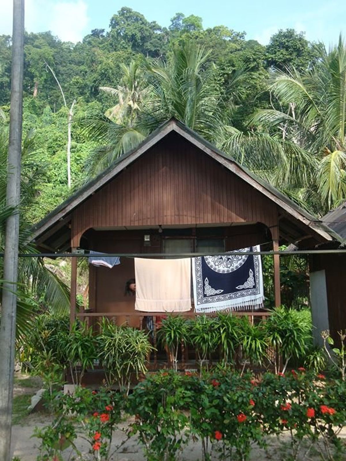 ティオマン（Tioman）島
当時は宿から隣街の免税店に行くのに、この森越...