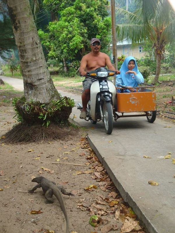 マレーシア・マラッカ「マレーシアをバスで北上の旅」の写真：ティオマン（Tioman）島
とにかく自...