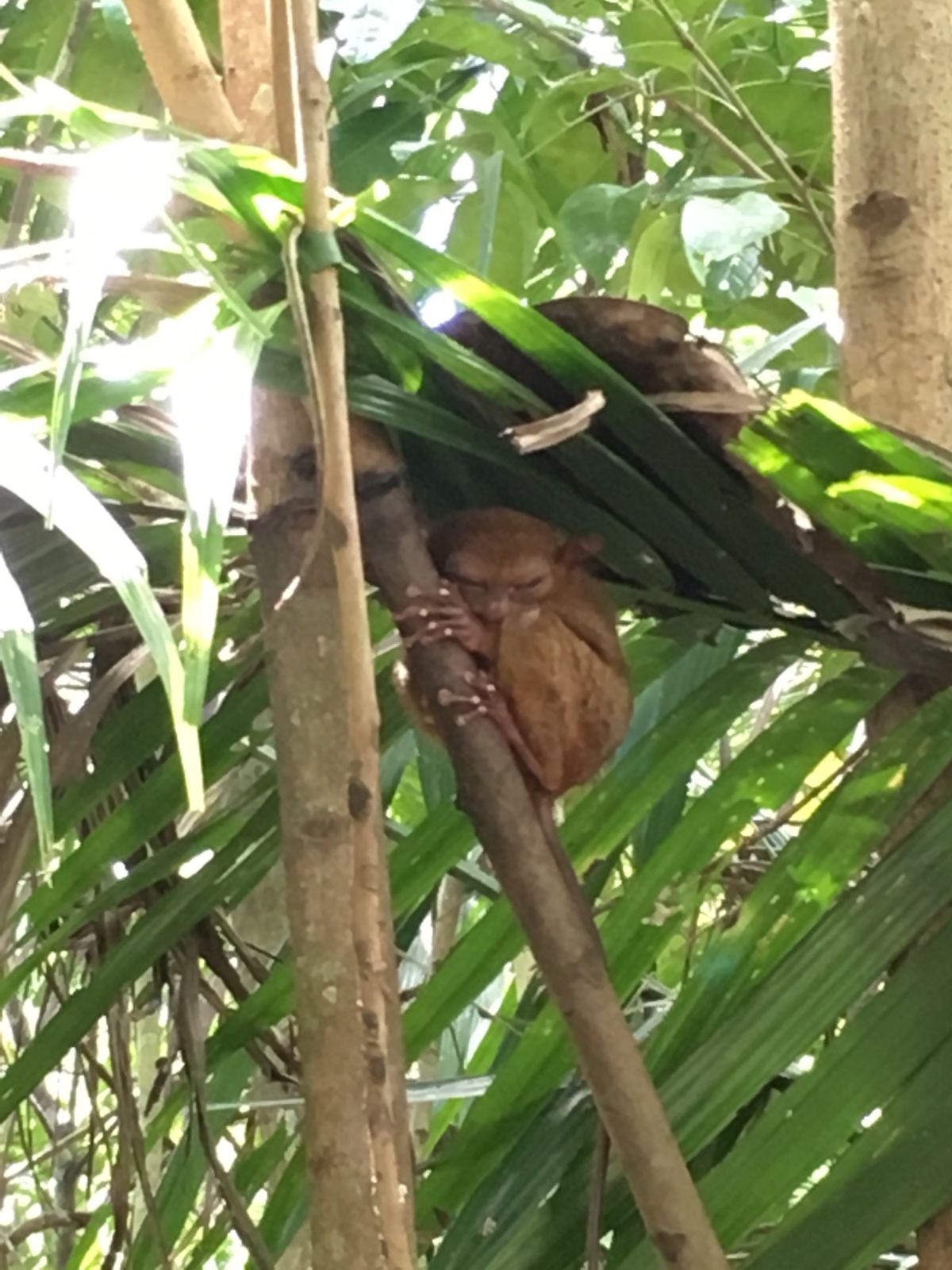 セブ島へ1ヶ月留学
この時は勉強中心だったけど、休みは買い物行ったり、映画...