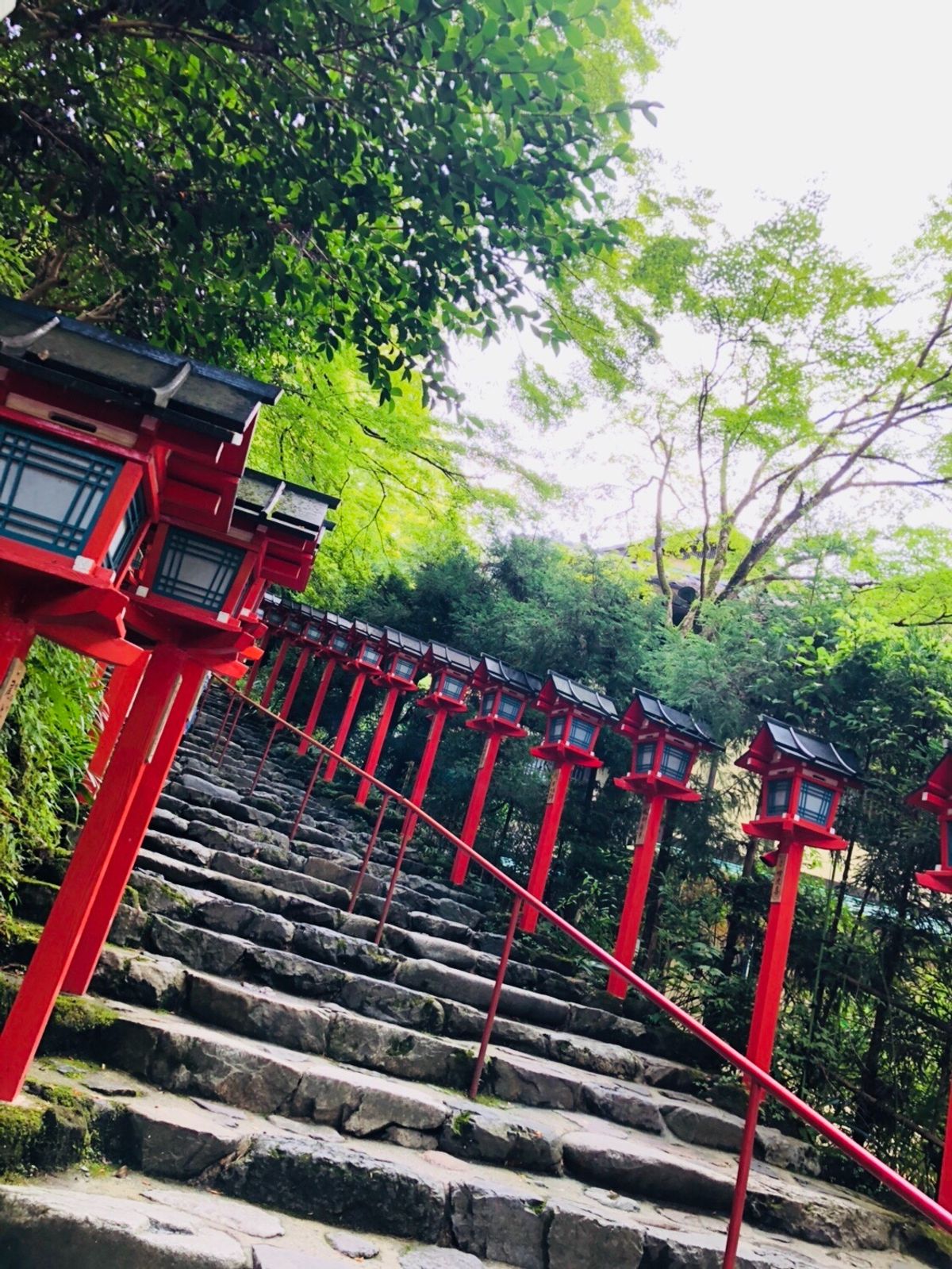 京都旅行 1日目
夏真っ盛りの中貴船の山道を登る
貴船、鞍馬へお参り終えて...