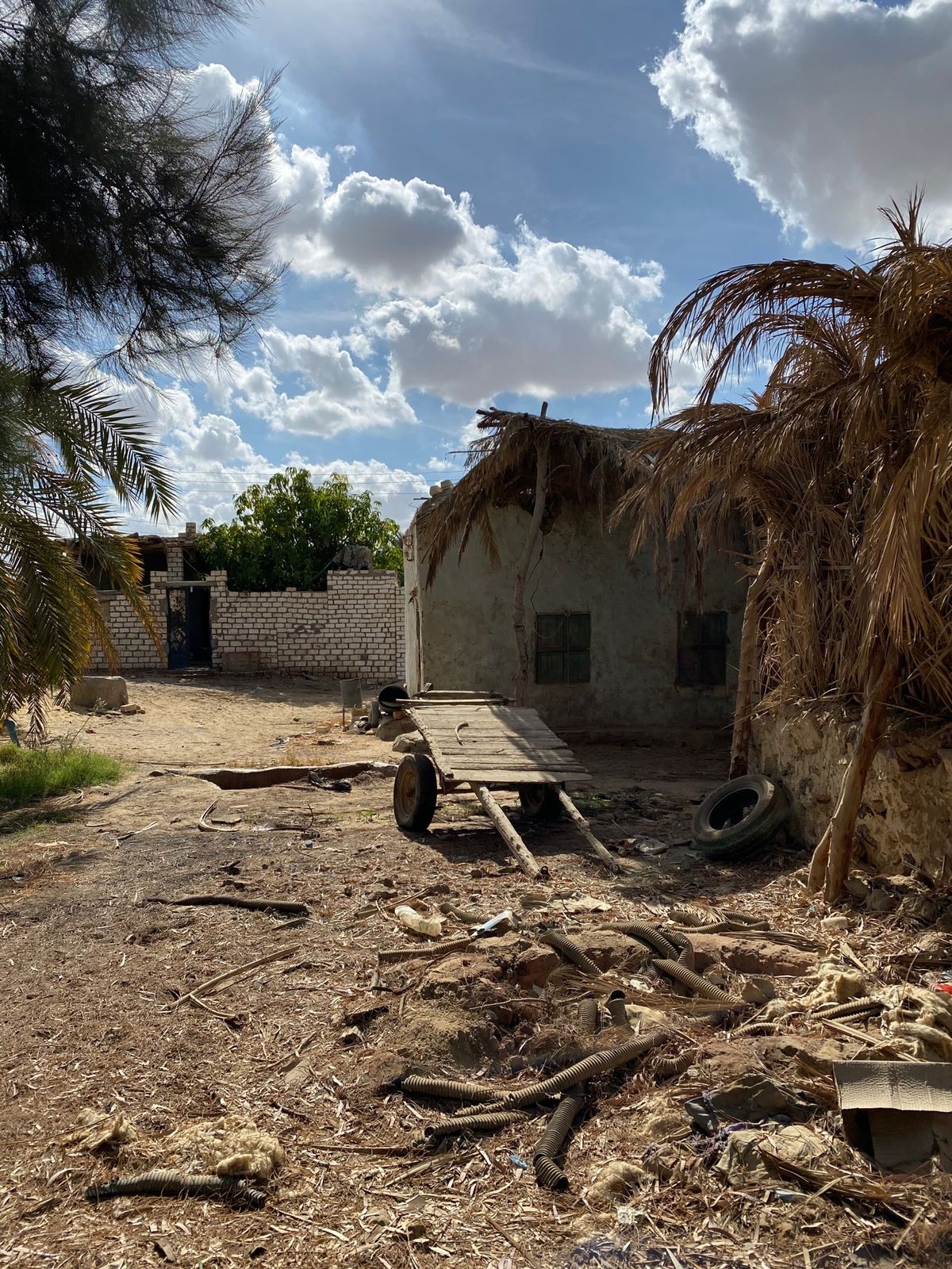 砂漠の中にあるドライバーさんの家でエジプト家庭料理。エジプト料理は期待しな...