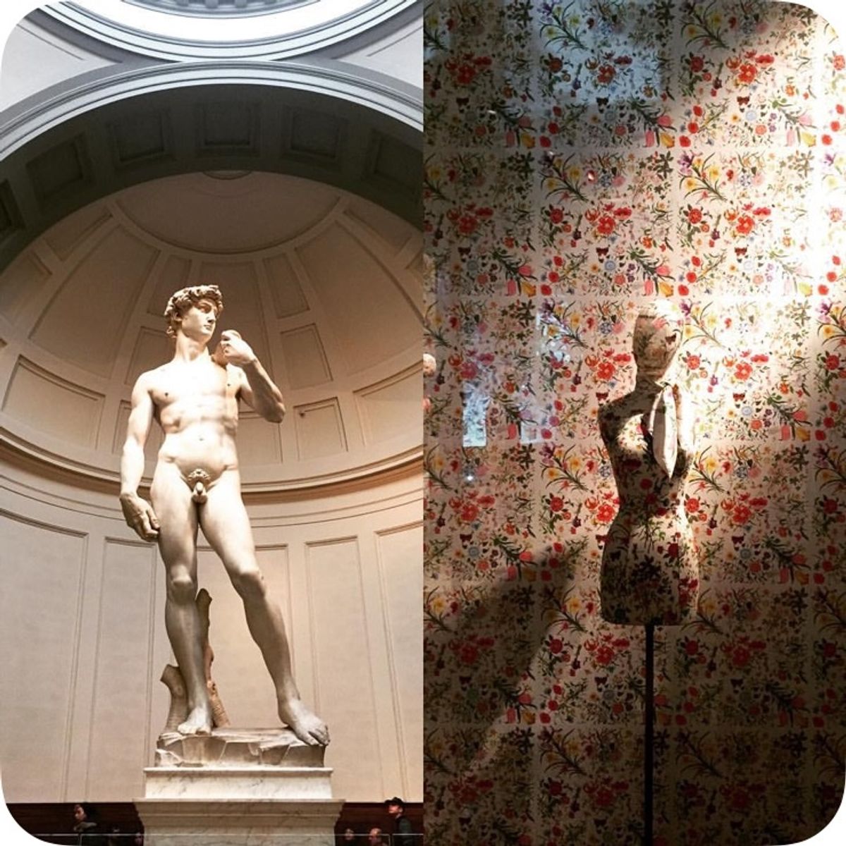 ダヴィデとグッチ