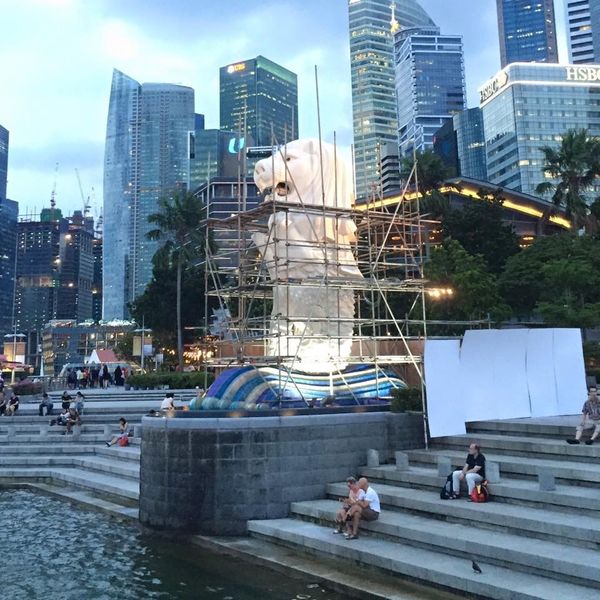 シンガポール・シンガポール「シンガポール」の写真：捕まえた