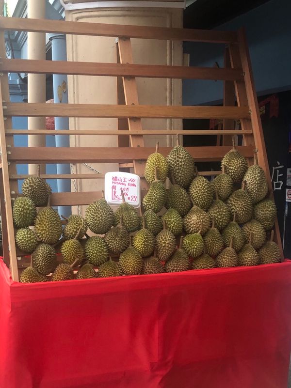 シンガポール・シンガポール「編集中 シンガポール出張(今年2回目)」の写真