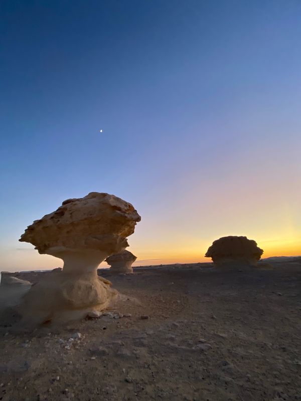 エジプト・カイロ「エジプト 砂漠キャンプの旅」の写真:白砂漠。白砂漠は石灰岩でできていて、その...