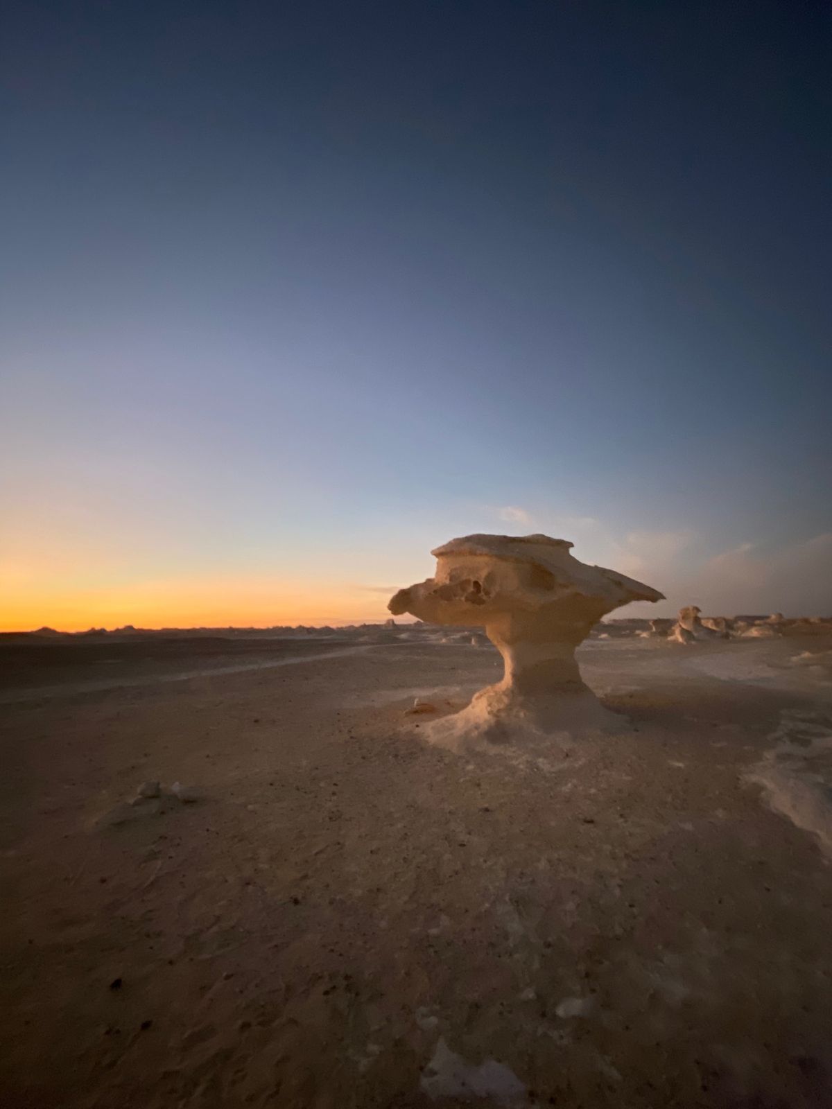 白砂漠。白砂漠は石灰岩でできていて、その上に砂が積もっている。ここも昔は海...