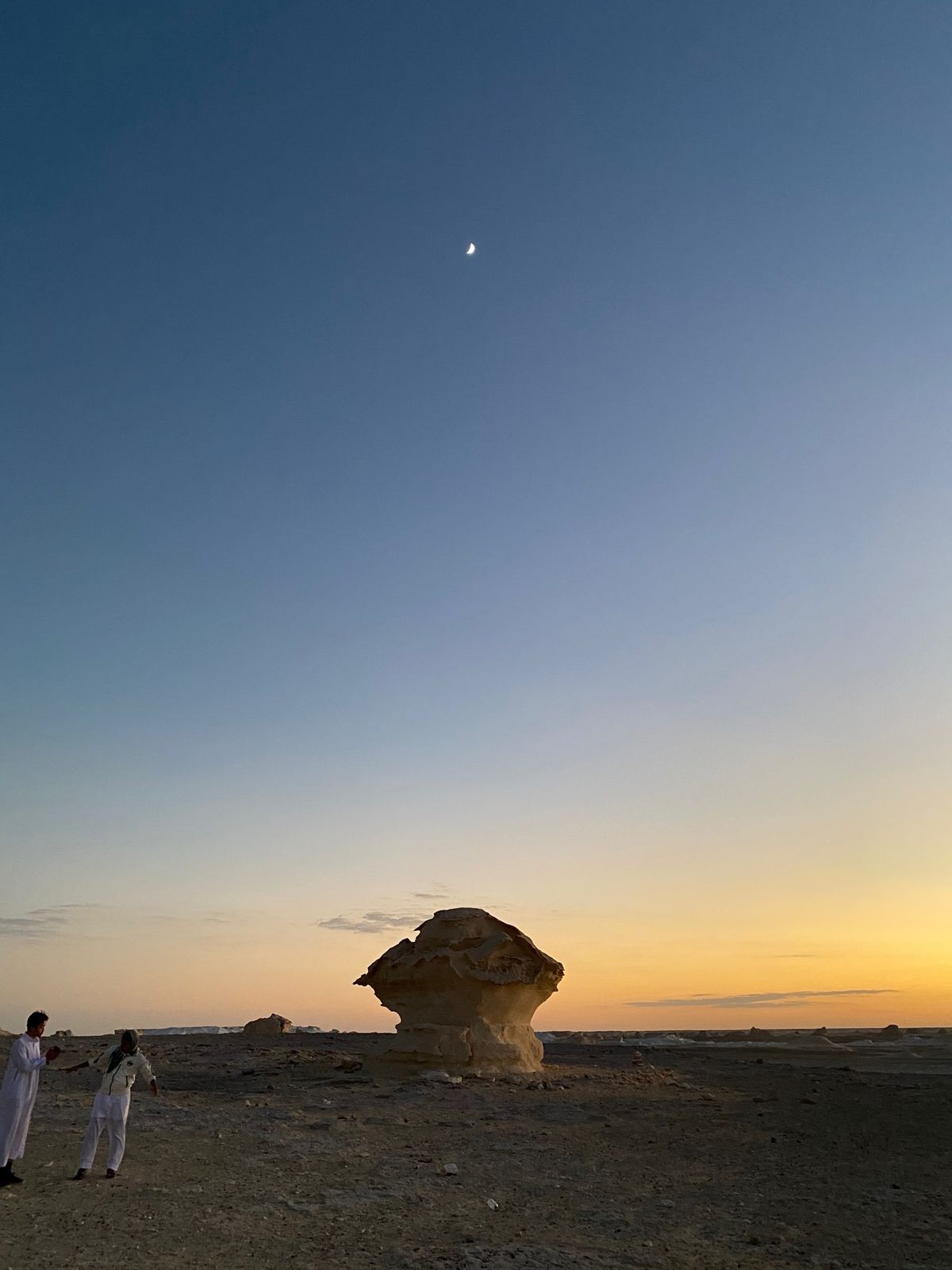 白砂漠。白砂漠は石灰岩でできていて、その上に砂が積もっている。ここも昔は海...