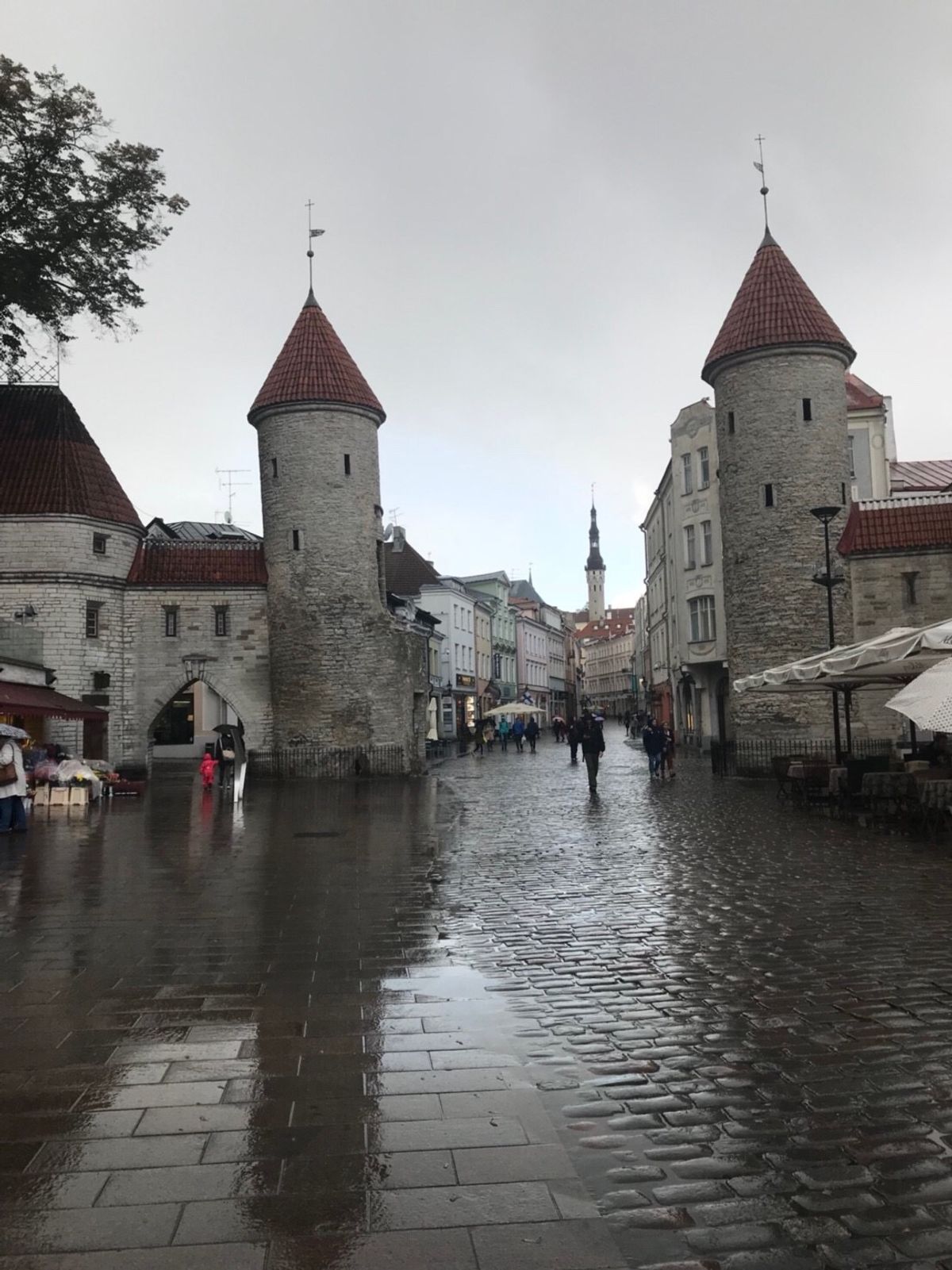 タリンの街並みとヘルシンキ市内