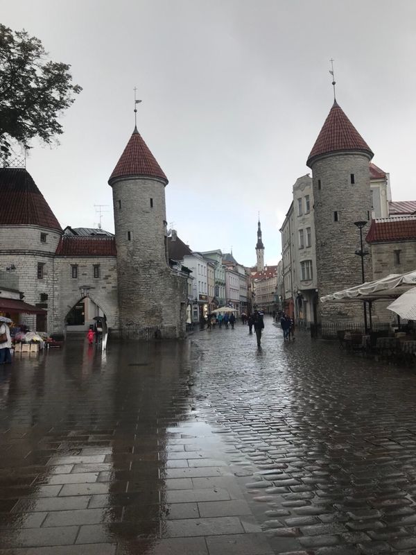 フィンランド・ヘルシンキ「フィンランド、エストニア」の写真：タリンの街並みとヘルシンキ市内