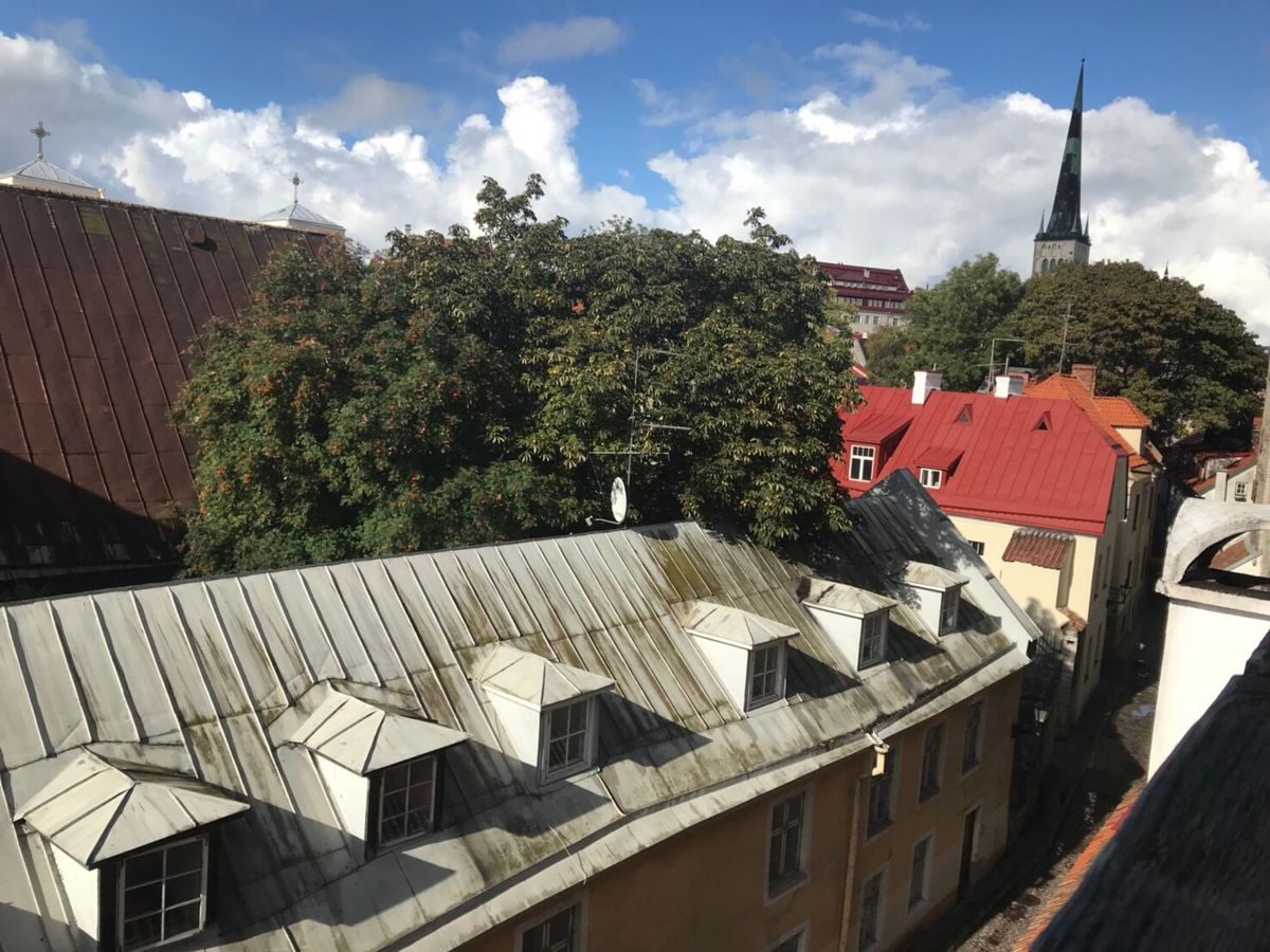 タリンの街並みとヘルシンキ市内