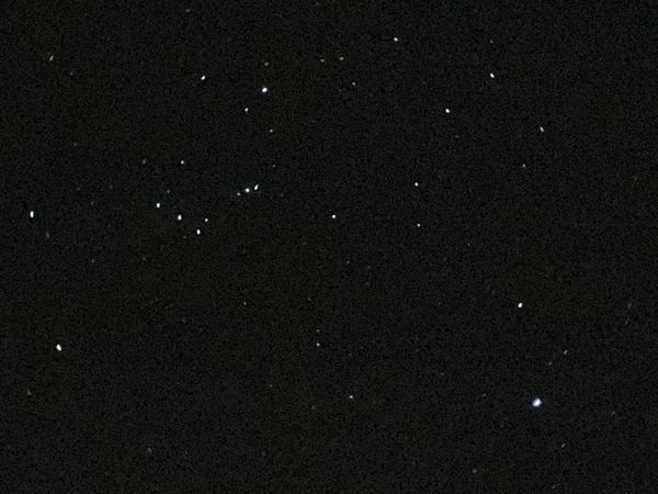 バヌアツ・タンナ島「バヌアツ大自然の旅」の写真：バヌアツ到着初日に空を見上げると満天の星...