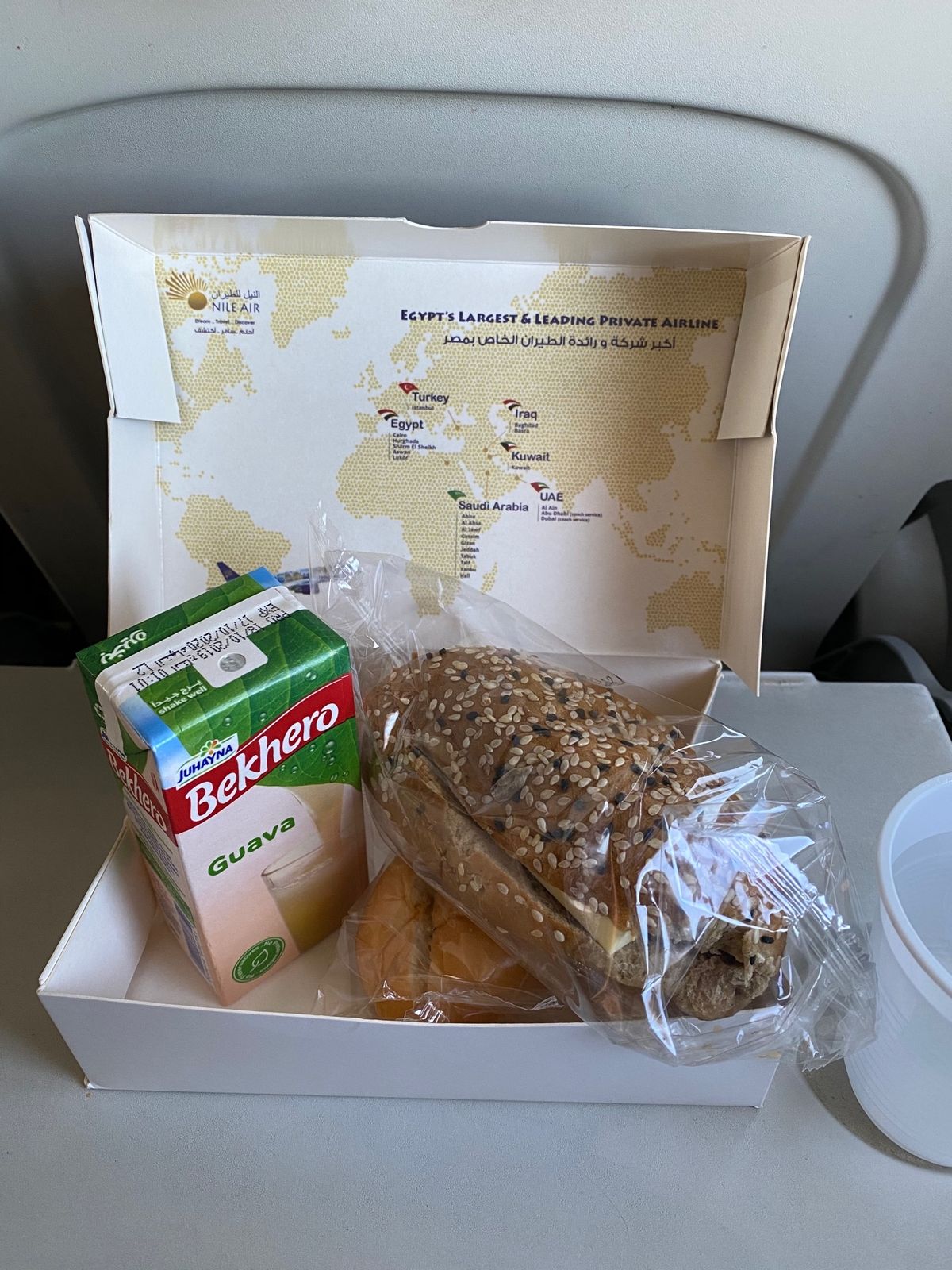 朝4時に起きる。空港に向かう。
7時30分の飛行機でルクソールへ。

Ai...