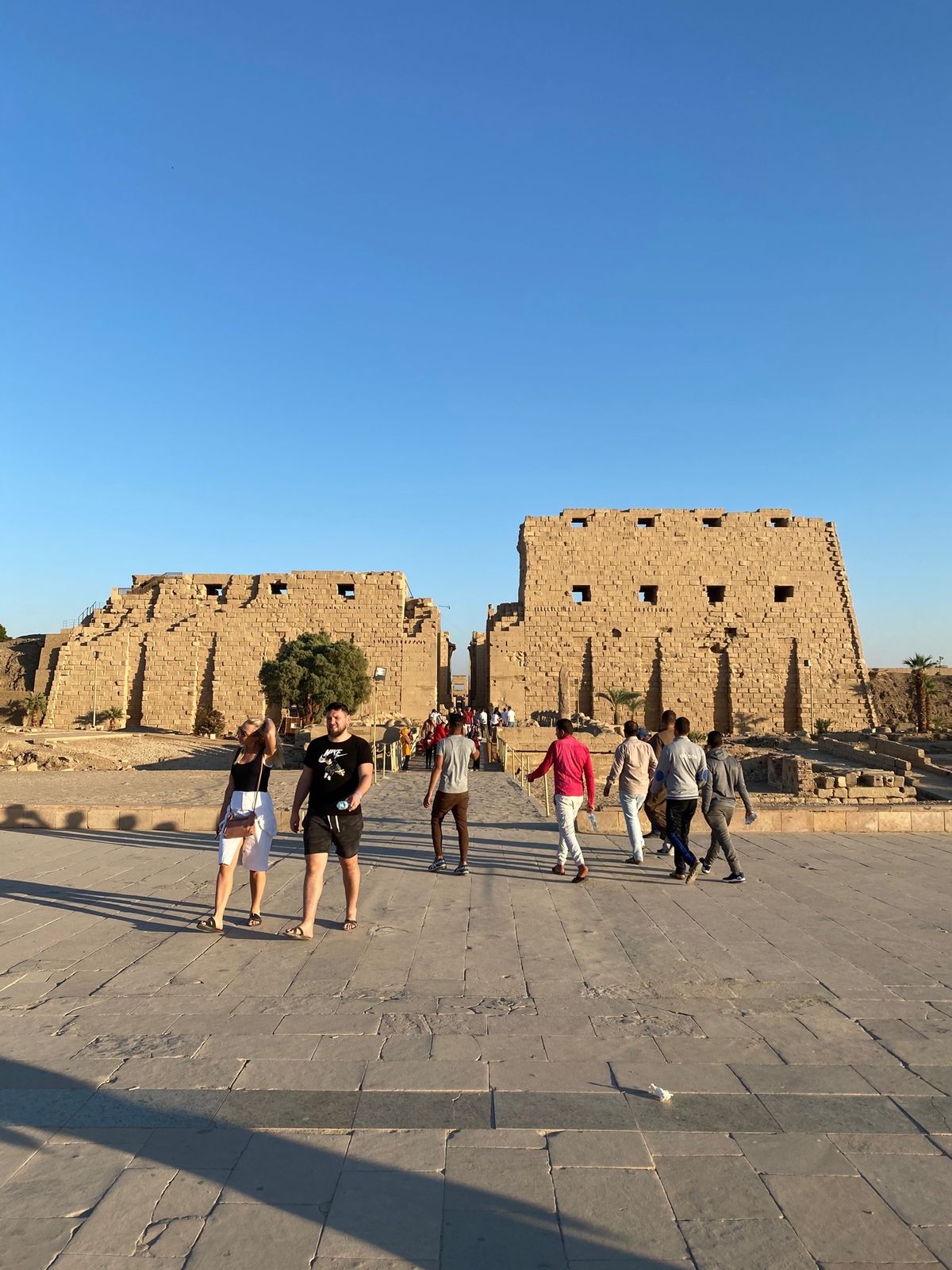 ルクソールラストの遺跡はカルナック神殿！（実はルクソール神殿もいく予定だっ...