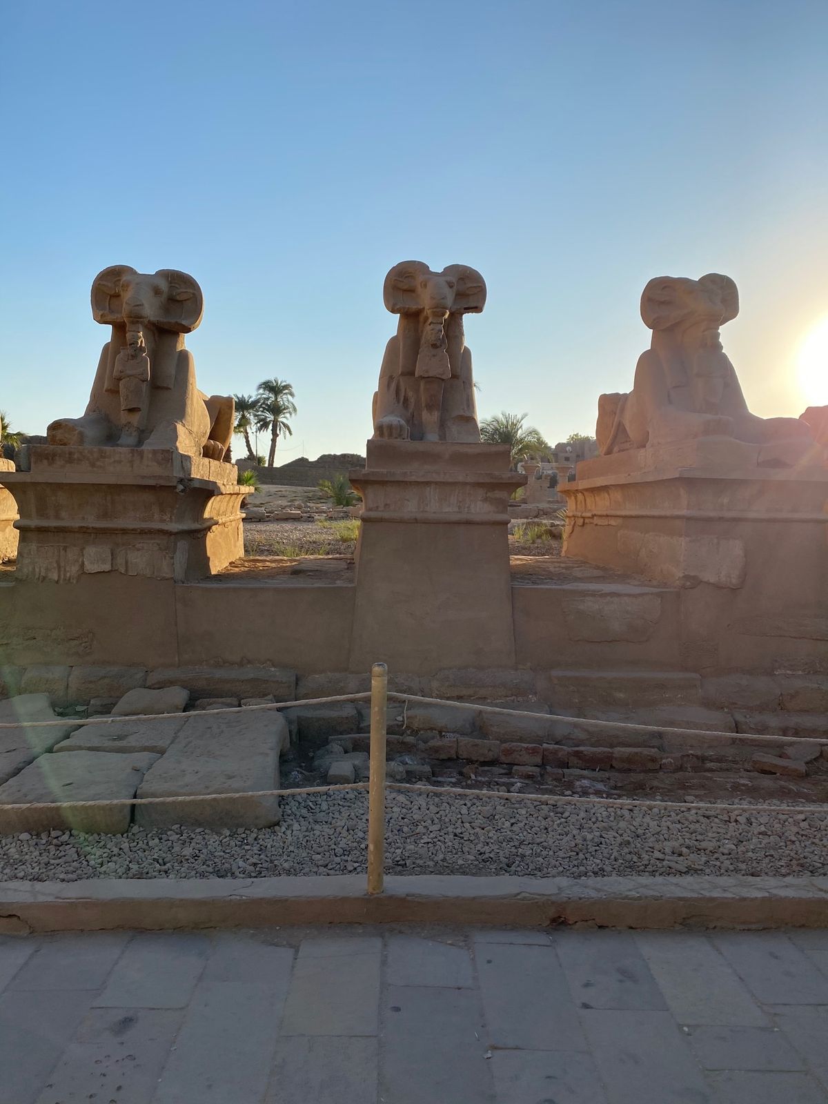 ルクソールラストの遺跡はカルナック神殿！（実はルクソール神殿もいく予定だっ...