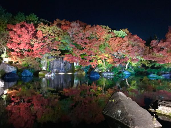 日本「日本巡り」の写真：綺麗すぎて、、💎