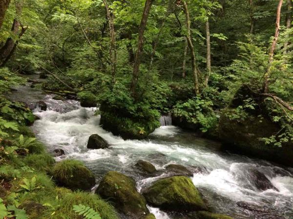 日本「青森奥入瀬の旅」の写真