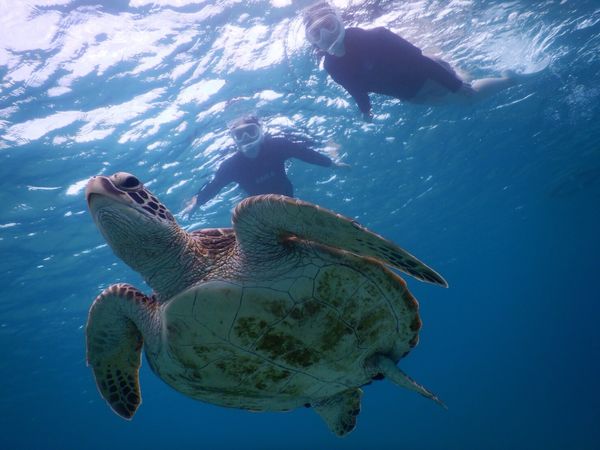 日本・沖縄「宮古島🐢夫婦旅行」の写真：10月末で少し海水温も低めですが、まだ泳...