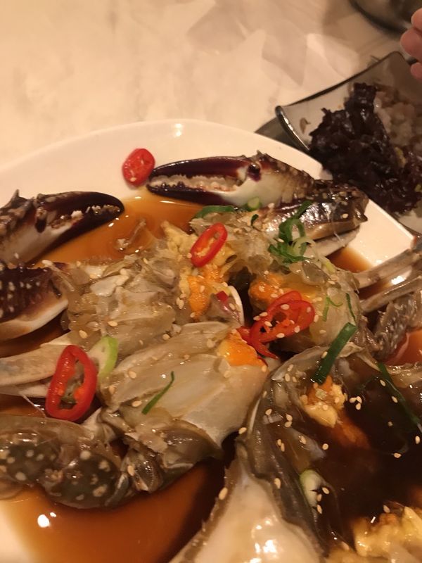 大韓民国 (韓国)・ソウル　明洞　弘大　南大門「冬ソウル旅」の写真：カンジャンケジャンやまだ動いてるイカ刺し...