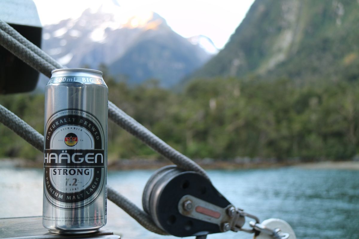 ミルフォードサウンドでクルージング。船の上で一泊過ごしました🍺岩場に海豹と...