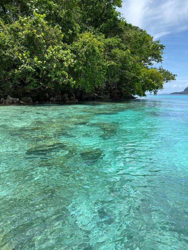 バヌアツ・タンナ島「バヌアツ大自然の旅」の写真：シャンパーニュビーチは砂が白くてサラサラ...