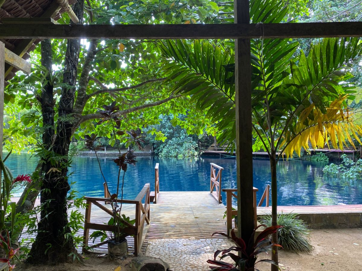 Nanda blue hole

サミュエル曰くここは海とつながっていて、...