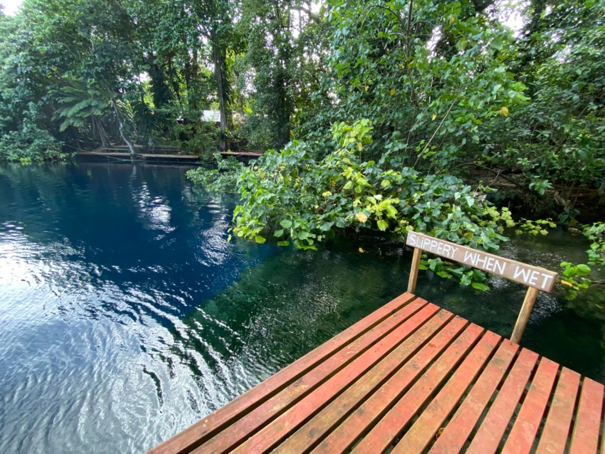 Nanda blue hole

サミュエル曰くここは海とつながっていて、...