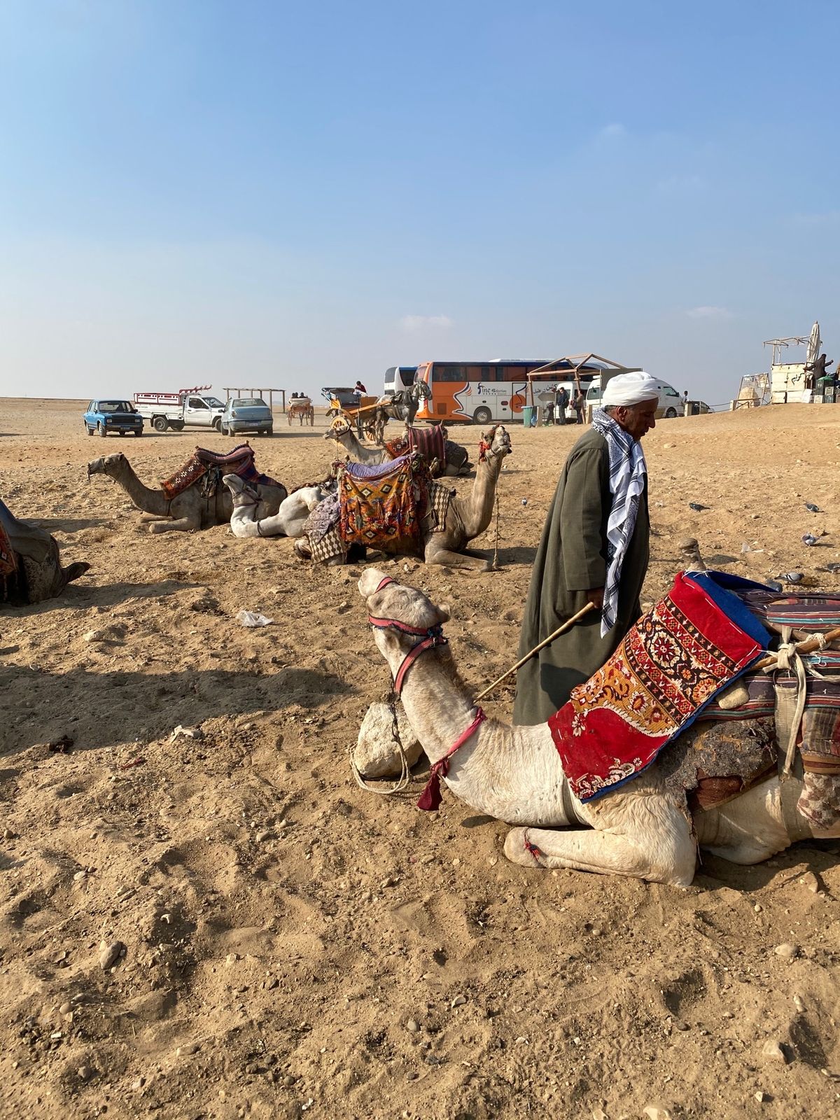 ピラミッドのあと少し離れてラクダ乗り。