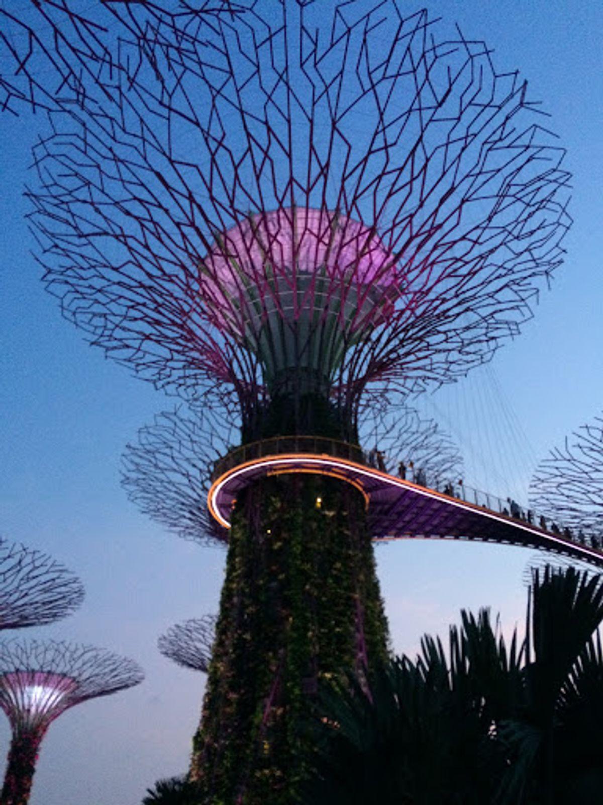 シンガポールは落ち着きます