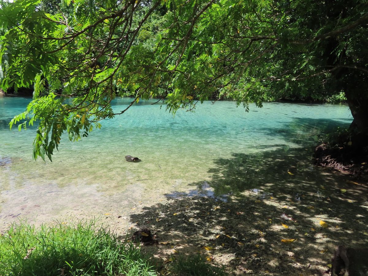 Riri River
こんなカヌーでクルーズ
先頭が1番景色いいんだけど、...