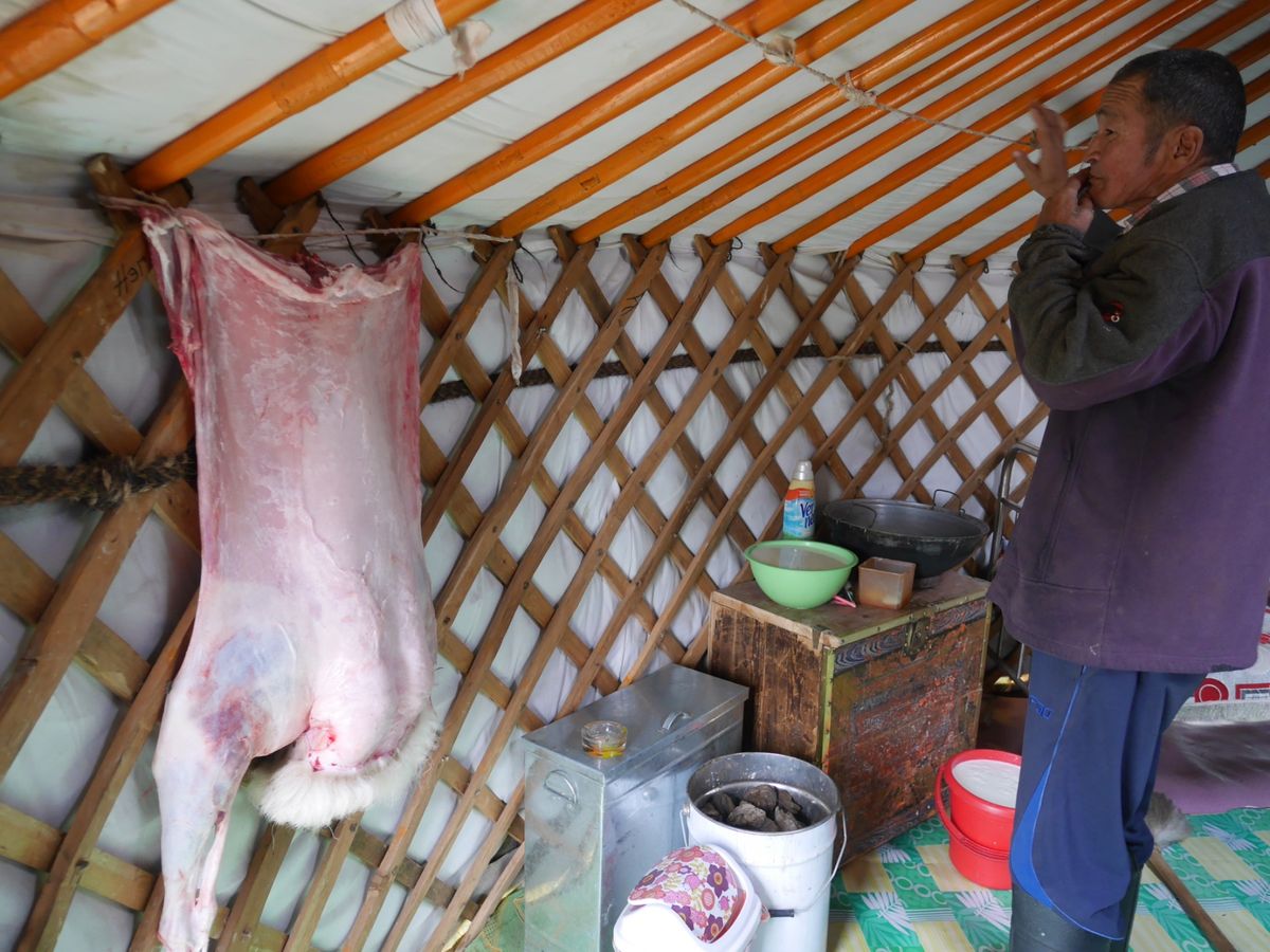 ウランバートルから車で約5時間
電波も電気もない大草原の中で暮らす
と...