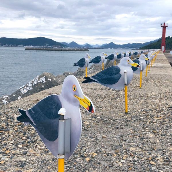 日本・香川県「瀬戸内トリエンナーレ」の写真