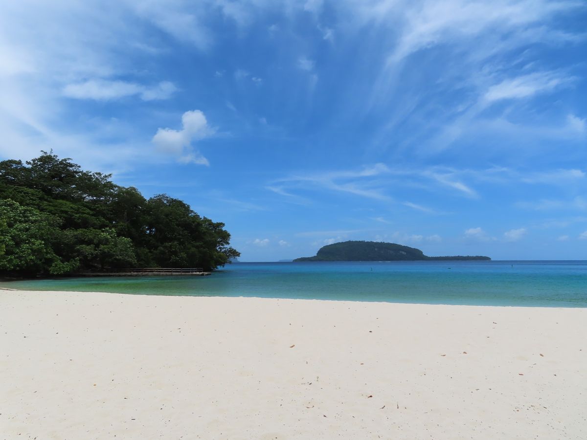 ChampagneBeach
サミュエルが永遠にココナッツ飲ませてくるから...