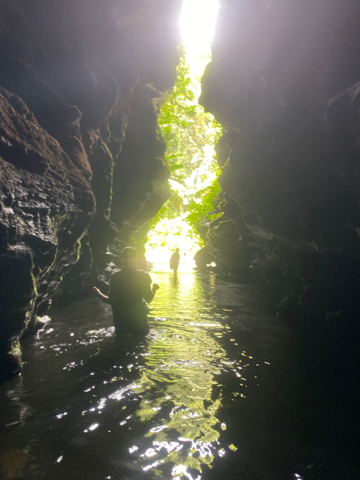 コウモリが住むケーブへの入口

お気づきですか？
外国人達が後ろ向きで恐る...