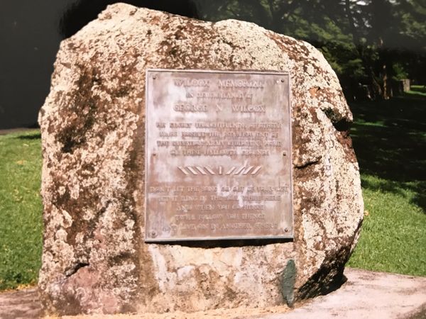 アメリカ(米国)・ホノルル「ホノルルマラソン」の写真