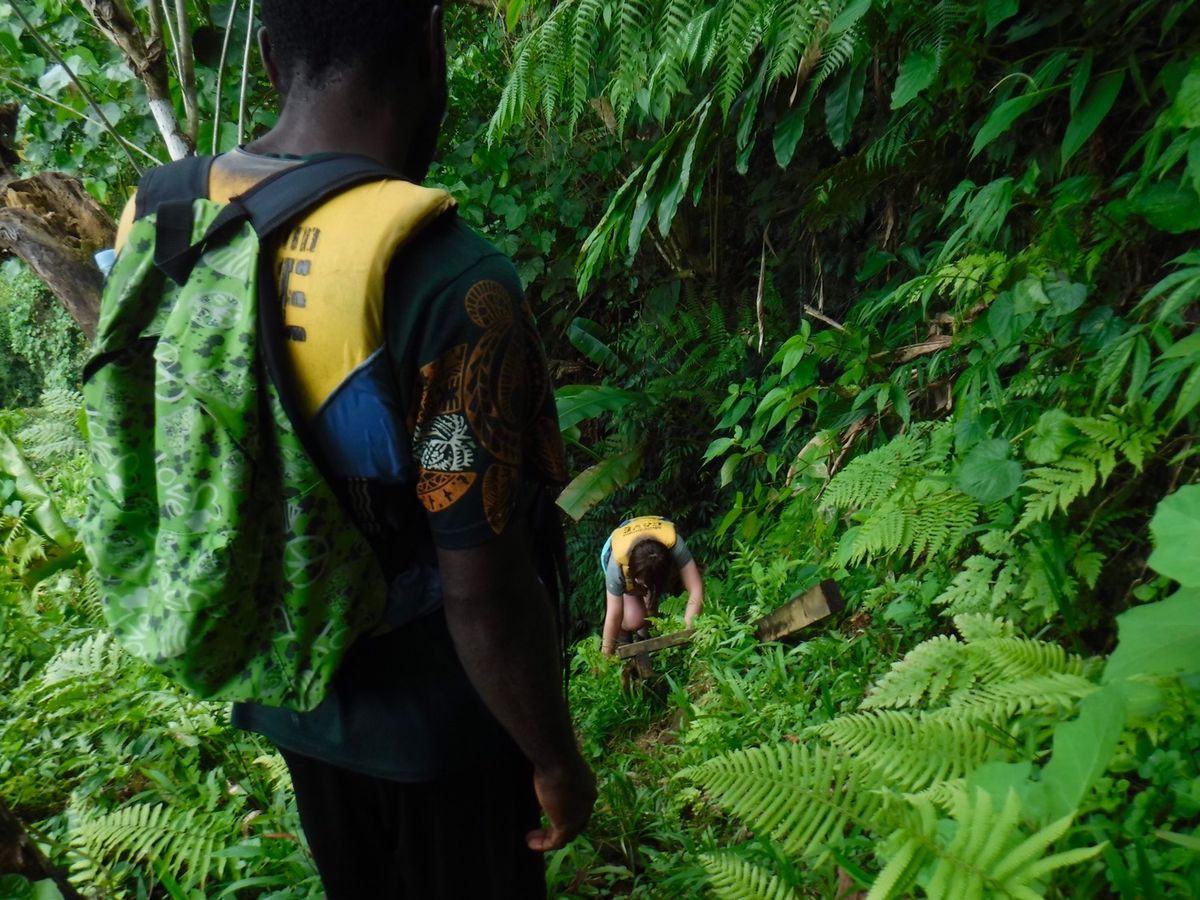 川を泳ぎきって、バヌアツ人が「あと10分くらいだよ！」言うからあーやっとこ...