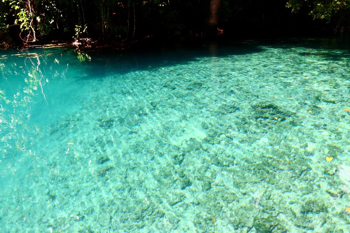 サント島のリリブルーホール。カヌーで進んでブルーホールまで行きますが、その...