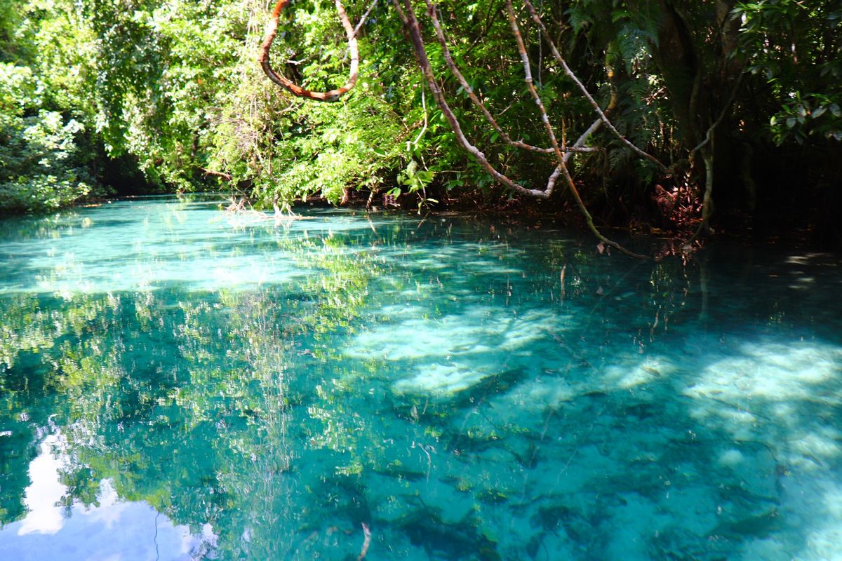 サント島のリリブルーホール。カヌーで進んでブルーホールまで行きますが、その...
